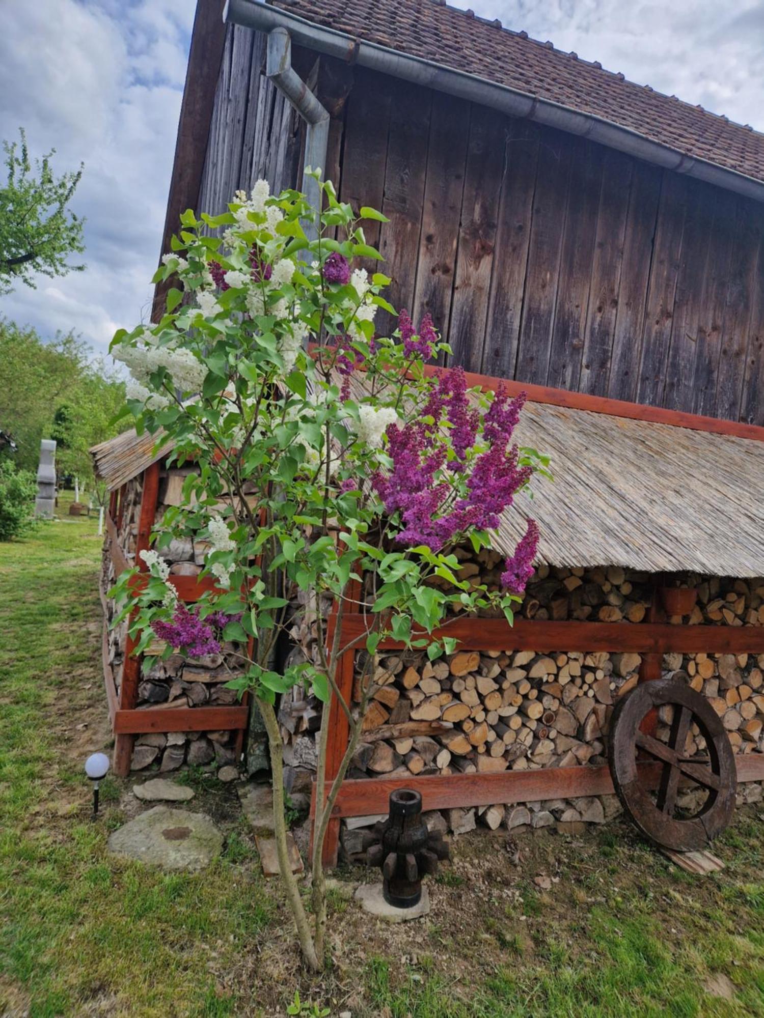 Casa Hariton Villa Dragus Luaran gambar