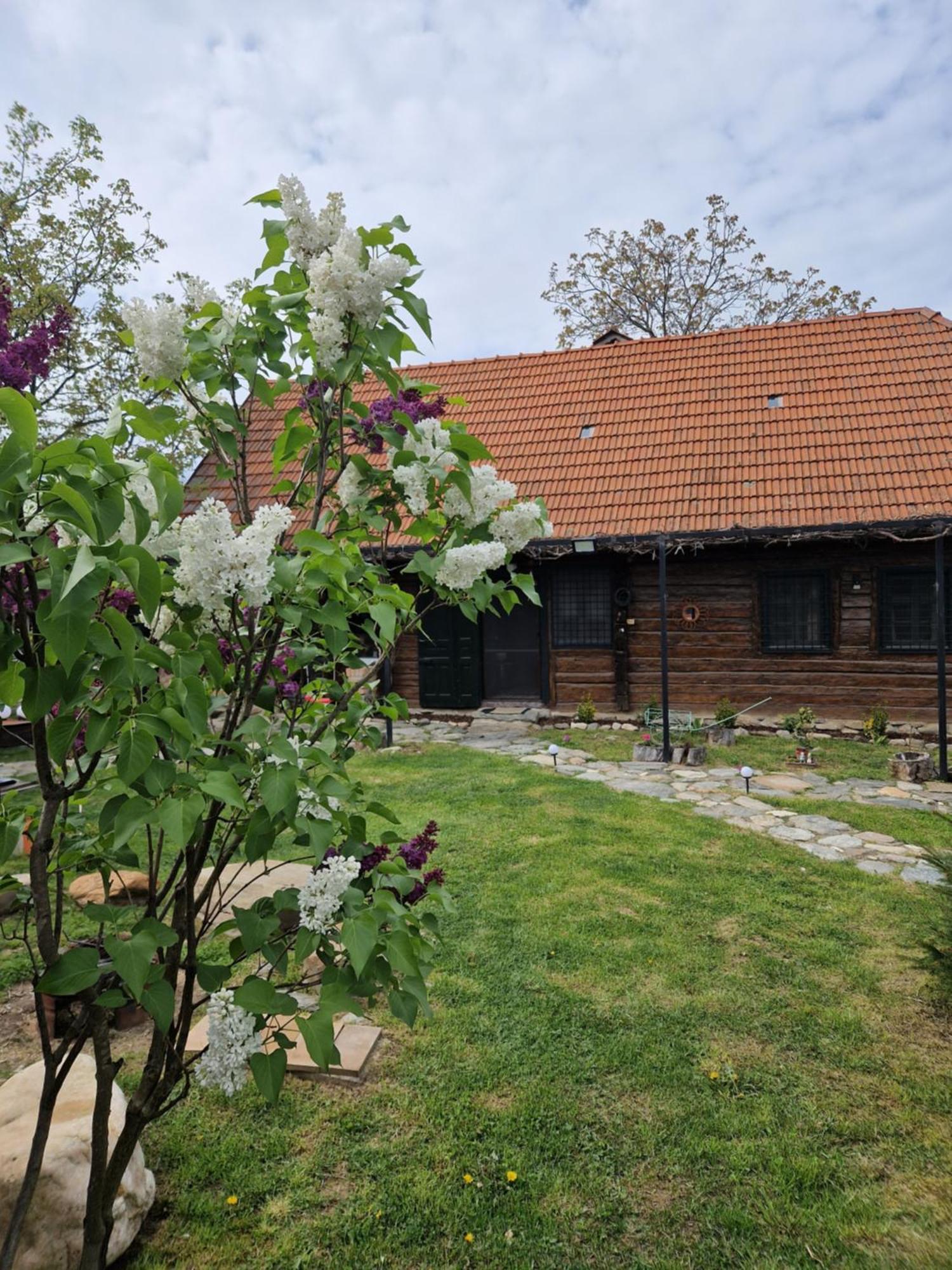 Casa Hariton Villa Dragus Luaran gambar